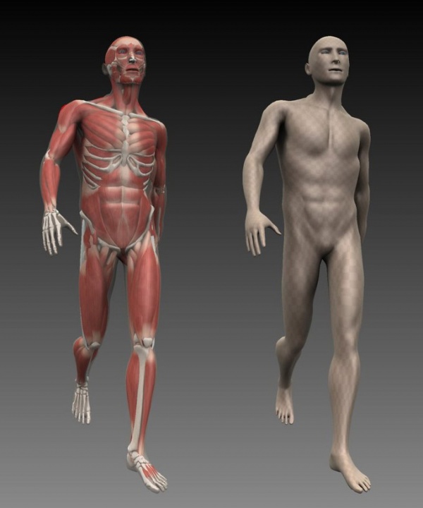 Sculpt